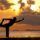 Rishikesh Yoga TTC