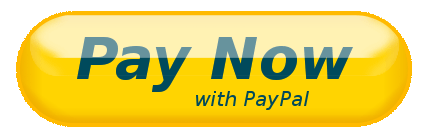 Pay-Now-With-PayPal