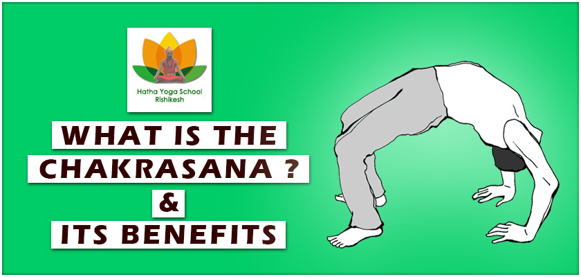 What-is-the-Chakrasana-and-its-benefits