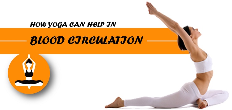 How yoga can help in Blood circulation