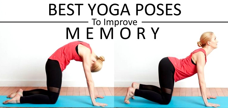 Best Yoga Poses to Improve Your Memory