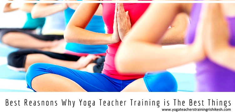 Best Reasnons Why Yoga Teacher Training is The Best Things