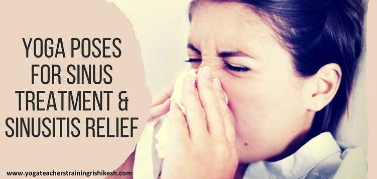 Yoga Poses for Sinus Treatment and Sinusitis Relief