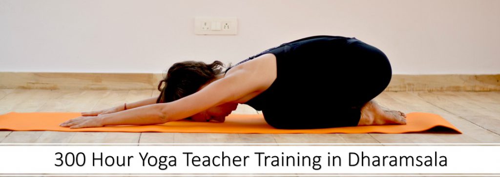 300 hour yoga teacher training in Dharamsala