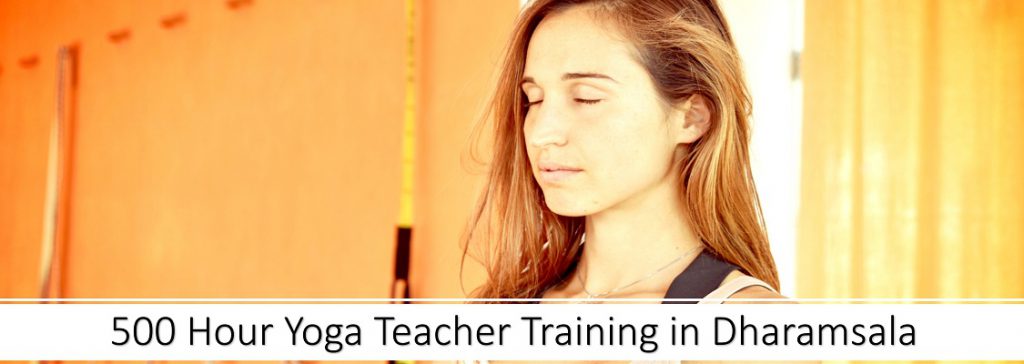 500 hour yoga teacher training in dharamsala