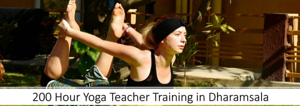 200 hour yoga teacher training in Dharamshala
