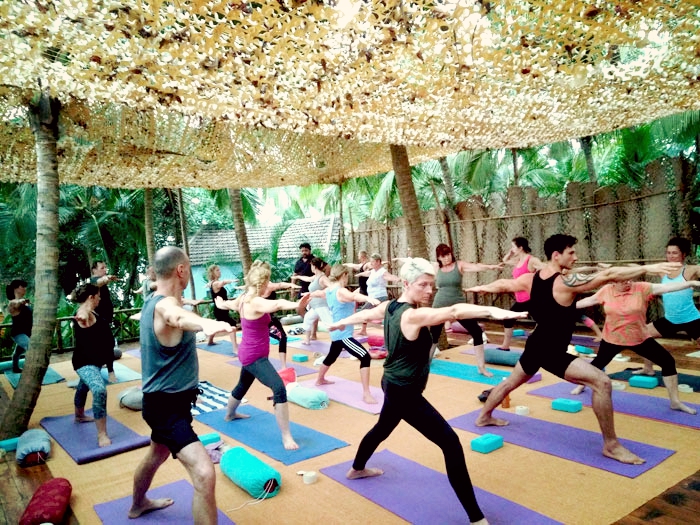 300 hour yoga teacher training in Dharamsala