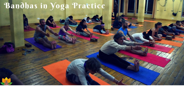 Bandhas in Yoga practice