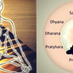 What are the eight limbs of yoga?