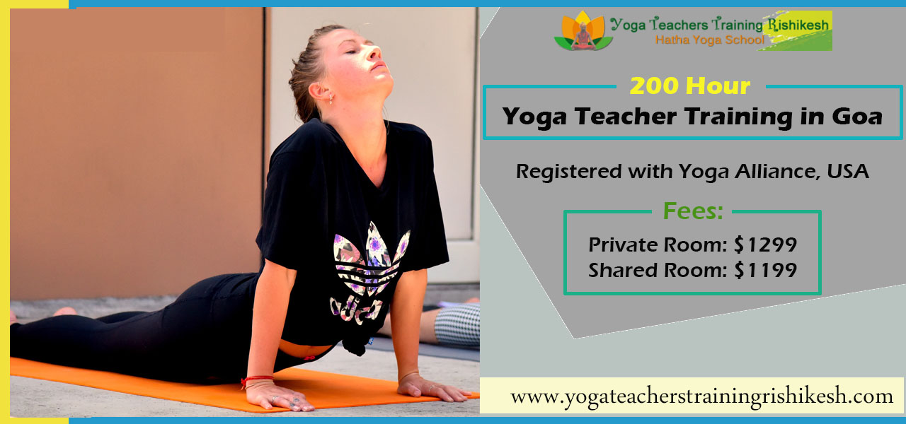 200 hour yoga teacher training goa