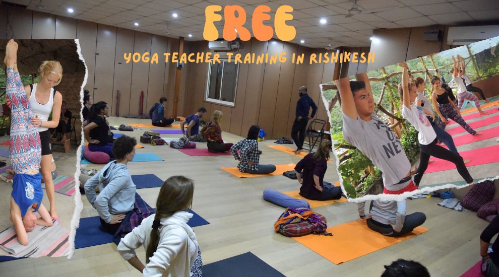 free Yoga ttc in rishikesh