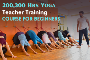 Yoga For Beginner 