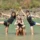 200 hour Yoga Teacher Training